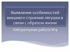 Выявление особенностей внешнего строения лягушки в связи с её образом жизни