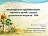 Формирование грамматических навыков у детей старшего дошкольного возраста с ОНР