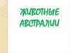 Животные австралии