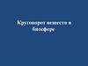 Круговорот веществ в биосфере