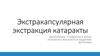 Экстракапсулярная экстракция катаракты