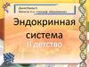 Эндокринная система. Детство