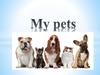 My pets