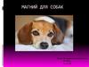 Магний для собак