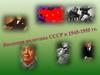 Внешняя политика СССР в 1945-1955 годы