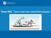 Транспортная иммобилизация. Тема №3