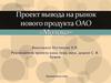 Проект вывода на рынок нового продукта ОАО «Молоко»