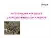 Регенерация как общее свойство живых организмов