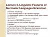 Linguistic Features of Germanic Languages.Grammar. Lecture 5