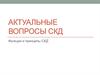 Актуальные вопросы СКД. Функции и принципы СКД