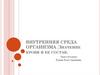Внутренняя среда организма. Значение крови и ее состав. 8 класс