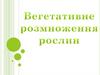 Вегетативне розмноження рослин