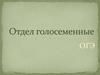 Отдел голосеменные. ОГЭ