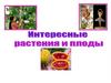 Интересные растения и плоды