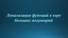 Локализация функций в коре больших полушарий