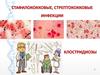 Стафилококковые, стрептококковые инфекции, клостридиозы