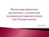 Филогения животных организмов с элементами медицинской паразитологии. Тип Членистоногие