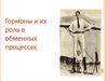 Гормоны и их роль в обменных процессах организма человека