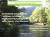 Негативное воздействие сведения лесов на гидрологический режим нерестовых рек Сахалина