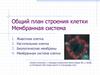 Общий план строения клетки. Мембранная система