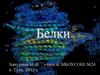 Белки. Химический состав белков. Функции белков