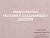 Лекарственные растения успокаивающего действия