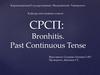 Bronhitis. Past Continuous Tense