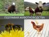 География животноводства