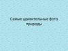 Фото природы