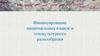 Финансирование национальных языков и этнокультурного разнообразия