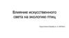 Влияние искусственного света на экологию птиц