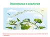 Экономика и экология