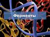 Ферменты