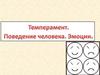 Темперамент