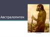 Род ископаемых высших приматов - Австралопитек