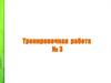 Тренировочная работа № 3