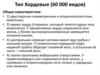 Тип Хордовые (60 000 видов)