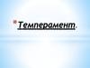Темперамент человека