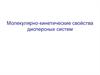 Молекулярно-кинетические свойства дисперсных систем. Лекция 09