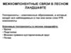 Межкомпонентные связи в лесном ландшафте
