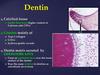 Dentin