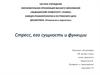 Стресс, его сущность и функции (1)