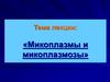Микоплазмы и микоплазмозы