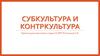 Субкультура и контркультура