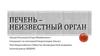 Печень – неизвестный орган