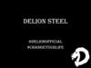 DeLion Steel. Проект