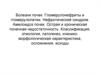 Болезни почек: Гломерулонефриты и гломерулопатии. Нефротический синдром. Амилоидоз почек