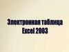 Электронная таблица Excel 2003