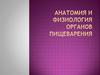 Анатомия и физиология органов пищеварения
