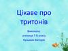 Цікаве про тритонів